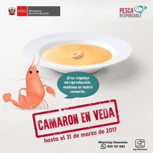 TE CUENTO PERU-camaron-veda-001